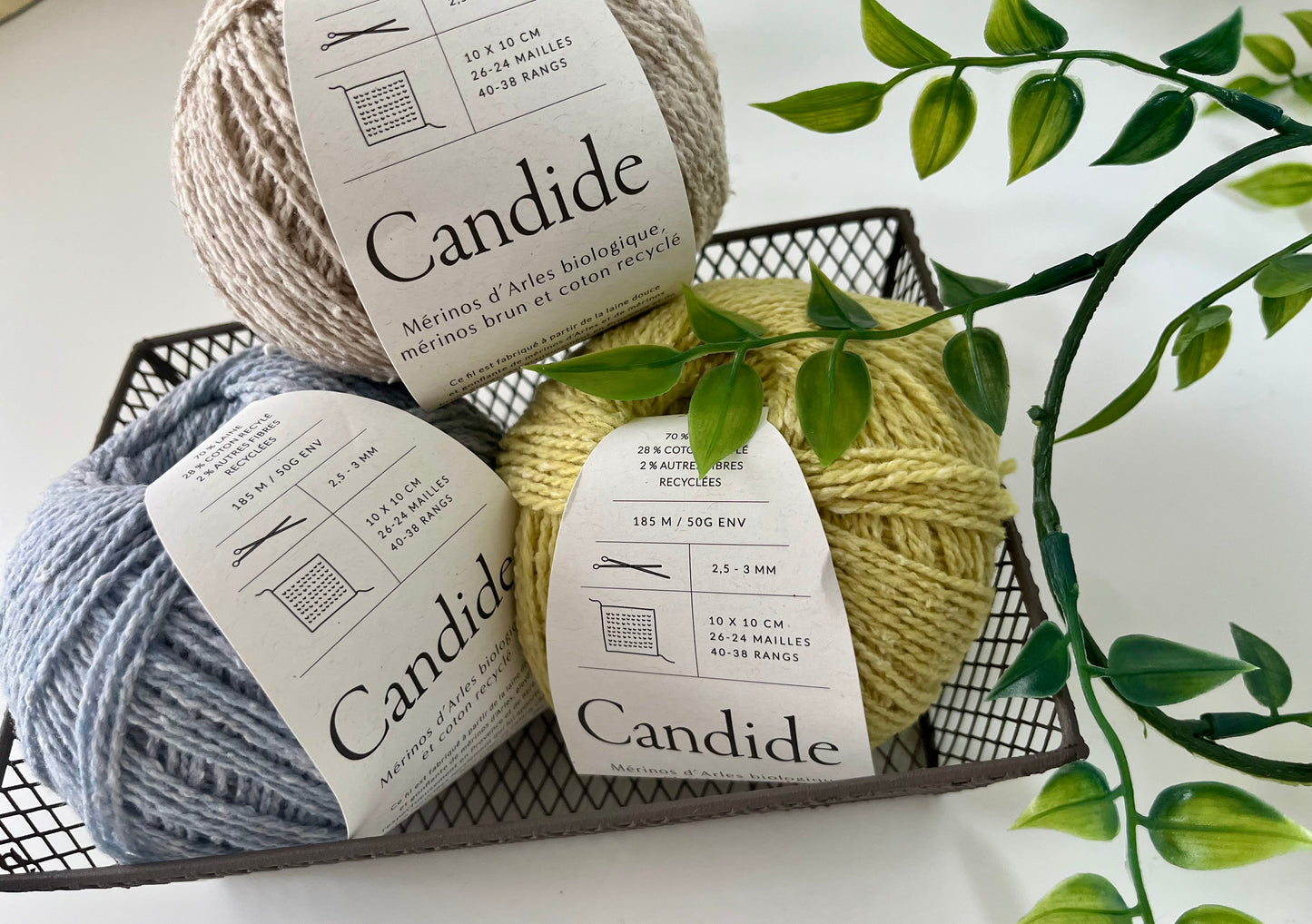 Candide wool/cotton yarn