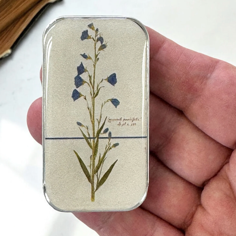 Notions/storage tin (small)