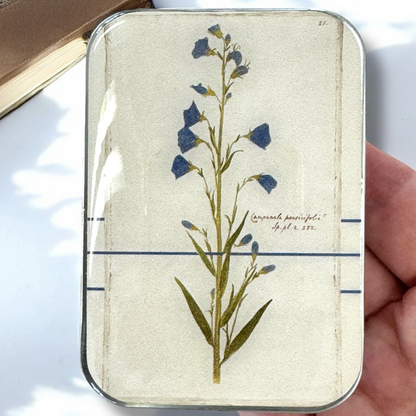 Notions/storage tin (large)