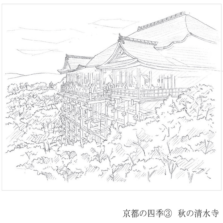 彩で彩る大人の塗り絵