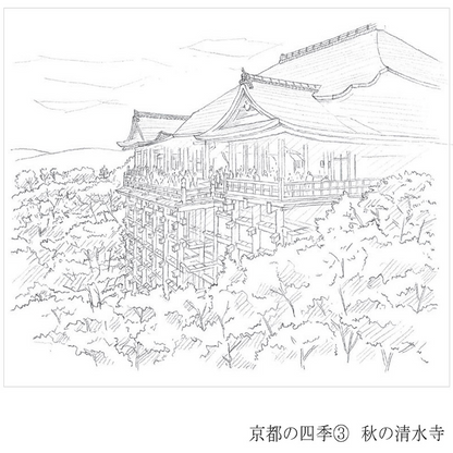 彩で彩る大人の塗り絵