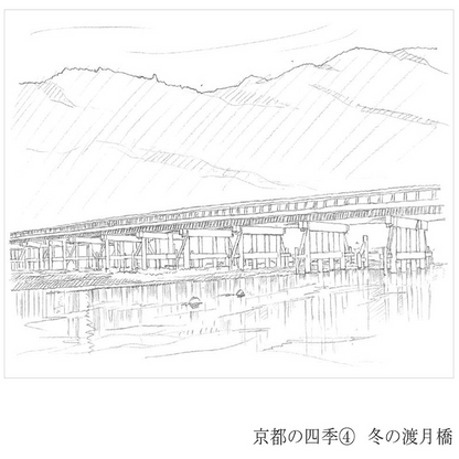 彩で彩る大人の塗り絵
