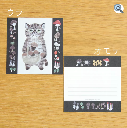 絵本の中のネコ　デラックス 箱入り ねこメモ2