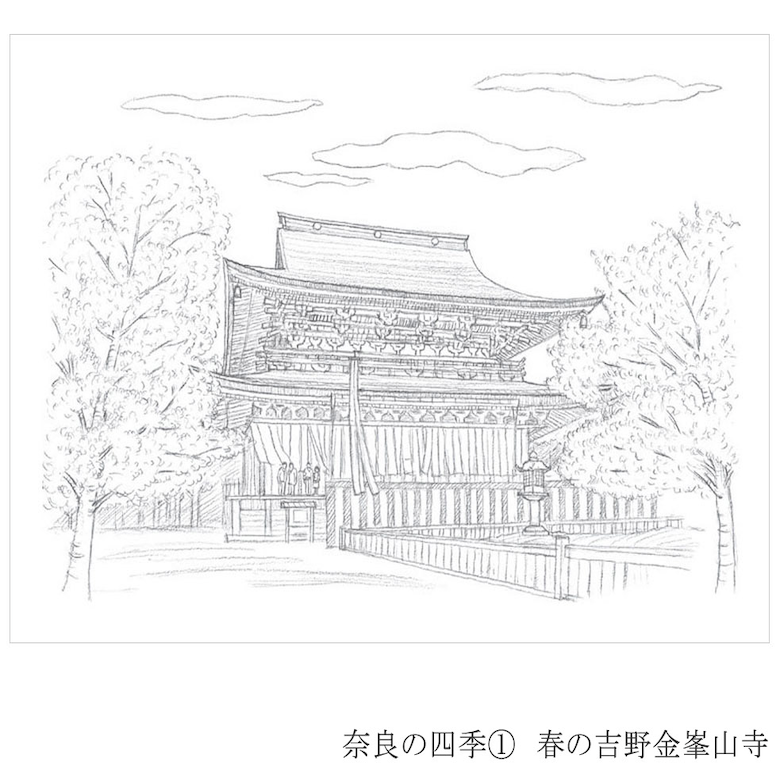 彩で彩る大人の塗り絵