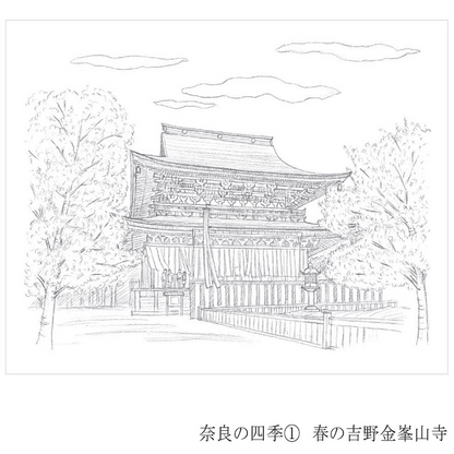 彩で彩る大人の塗り絵