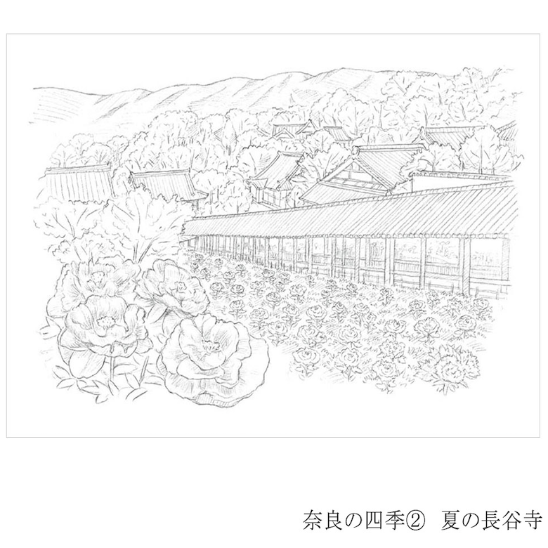 彩で彩る大人の塗り絵