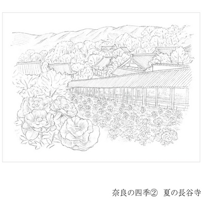 彩で彩る大人の塗り絵