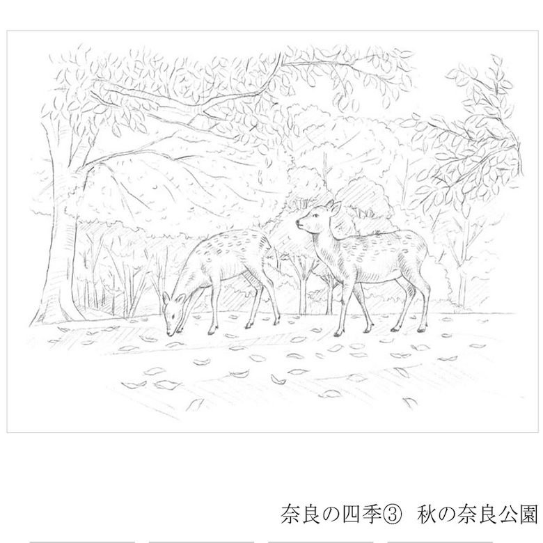 彩で彩る大人の塗り絵