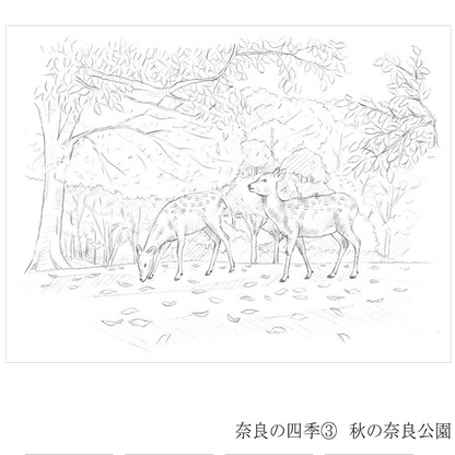 彩で彩る大人の塗り絵